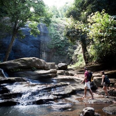 East Coast Rain Forest Hike & Waterfall Tour