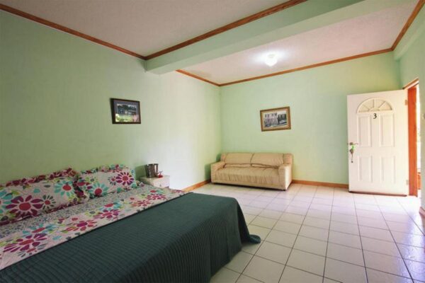 Hewanorra Gardens Airbnb (Vieux Fort) - Image 7