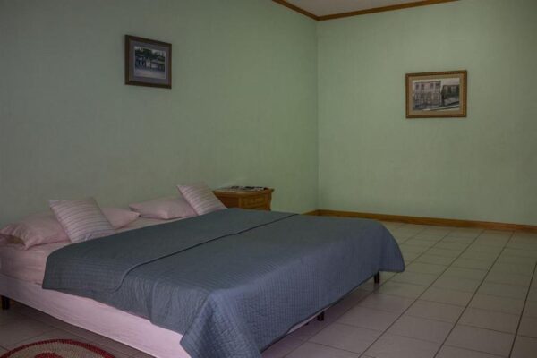 Hewanorra Gardens Airbnb (Vieux Fort) - Image 8