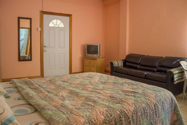 Hewanorra Gardens Airbnb (Vieux Fort) - Image 18