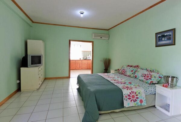 Hewanorra Gardens Airbnb (Vieux Fort) - Image 19
