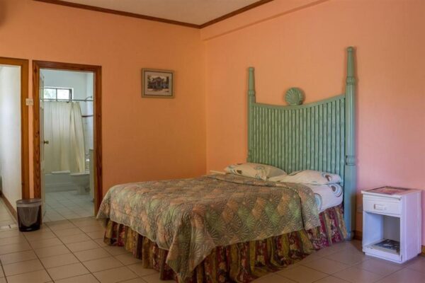Hewanorra Gardens Airbnb (Vieux Fort) - Image 20