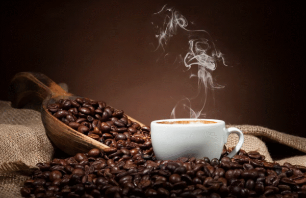 East Coast Crop To Cup & Tree To Treat Coffee And Chocolate Experience - Image 3